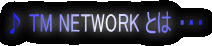 �� TM NETWORK �Ƃ� �E�E�E