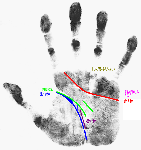 �ԏ����搶�̎葊