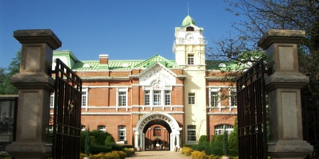 ���ʃh���}�̖����Ǌw��