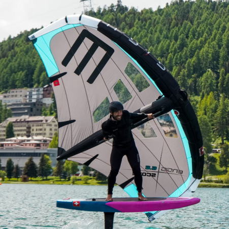 エンシス ウイング ensis wing エンシス トップ スピン エンシス ロックンロール エンシス ウイングボード エンシス ロックンロール