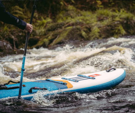 bhph Ch 9'6" WILD 2020 ] ] J^O 5Nۏ yz