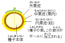 �ڂ񂮂�\���}