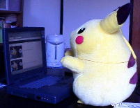 NET surf PIKACHU