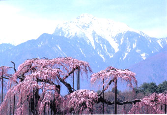 ��A���v�X�Ɛ_�c��