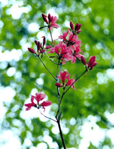 ���}�c�c�W