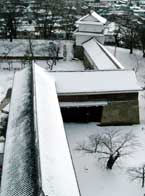 ���јE�E�쑖����