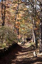 ���r�ԌÐ��