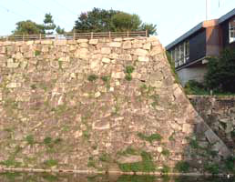 �E�����O���w