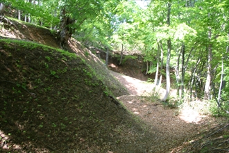 �Ռ�����̒���