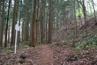 ��C��،ː�