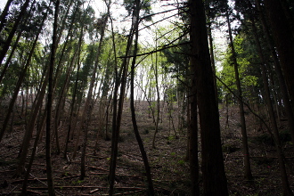 �{�ۂ����グ��