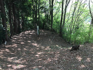 ���z��̓�̊s