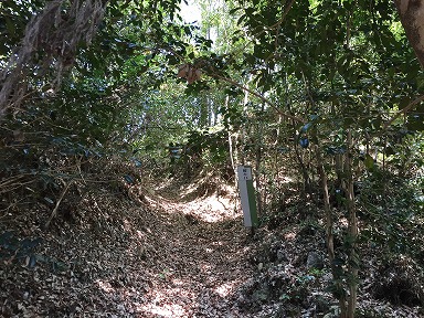 ���z��̚�����