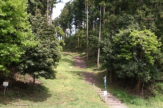 ��x�؂��������茩�グ��