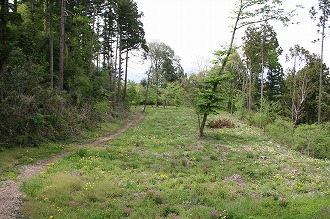 �{�ۖk���̕��i