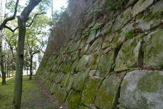 �R���ȗւ̐Ί_