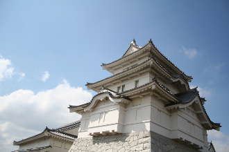 �֏h�锎����