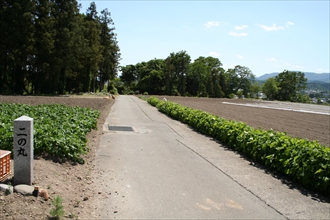 ������̊ەt��