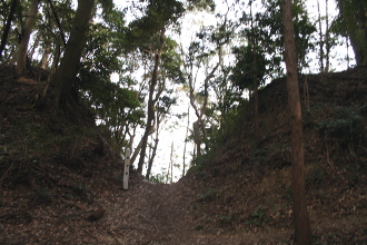 ���̔��ȗւ̖x��