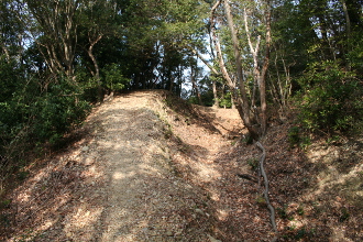 ���̔��ȗւ̋�x