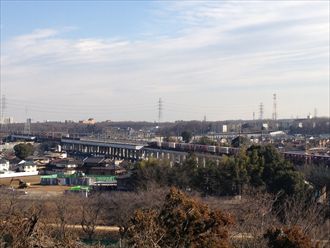 �{�ۂ���̒���