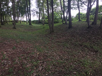 �ȗևT�̂�����