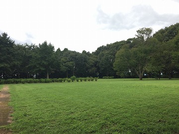 �ȗևY�̂�����