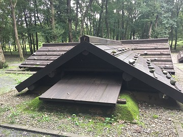 �Ñ�c������