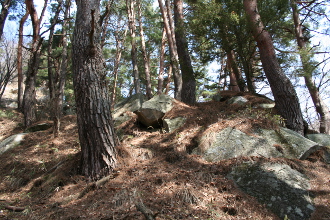 ���s�ւ̓r��