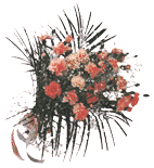 ka-ne-syon.gif (9539 �o�C�g)