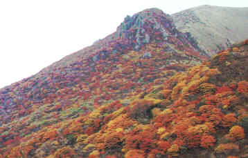 kouyou.jpg (94675 �o�C�g)