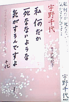 uno2.jpg (27957 �o�C�g)