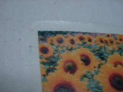 �A�C����