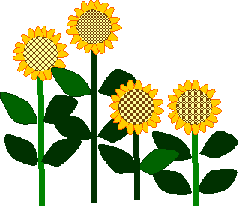 �q�}����