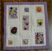 �A�C�����v�����g