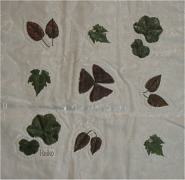 �V���h�E�L���g