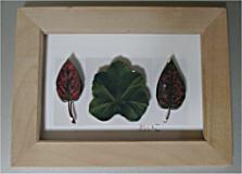 �V���h�EBOX