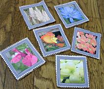 �R�[�X�^�[