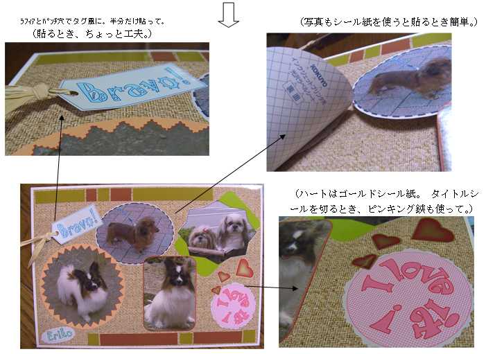 �ʐ^������5