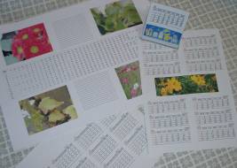 �J�����_�[