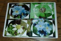 �}�E�X�p�b�h