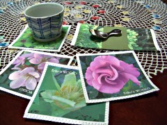 �R�[�X�^�[