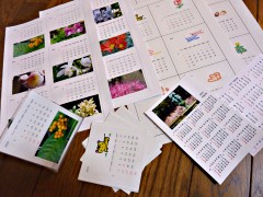 �J�����_�[