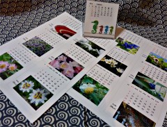 �J�����_�[