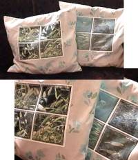 �N�b�V����