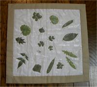 �V���h�E�L���g