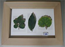 �V���h�EBOX