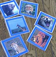 �R�[�X�^�[