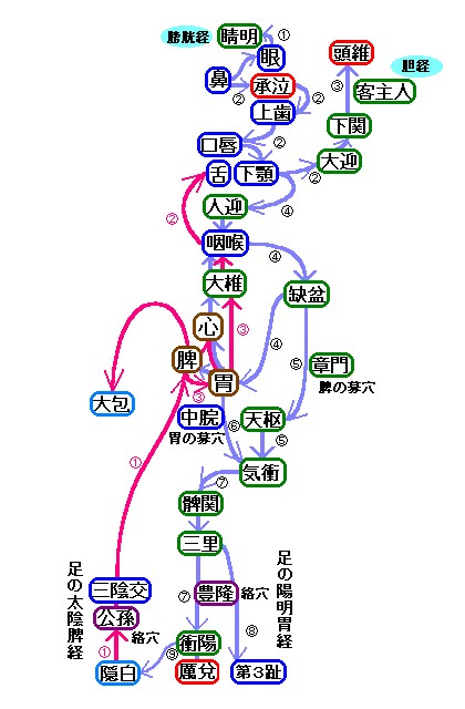 ���̗z���݌o�Ƒ��̑��A�B�o�̗����}