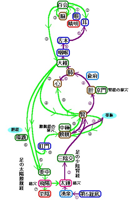 ���̑��z�N���o�Ƒ��̏��A�t�o�̗����}